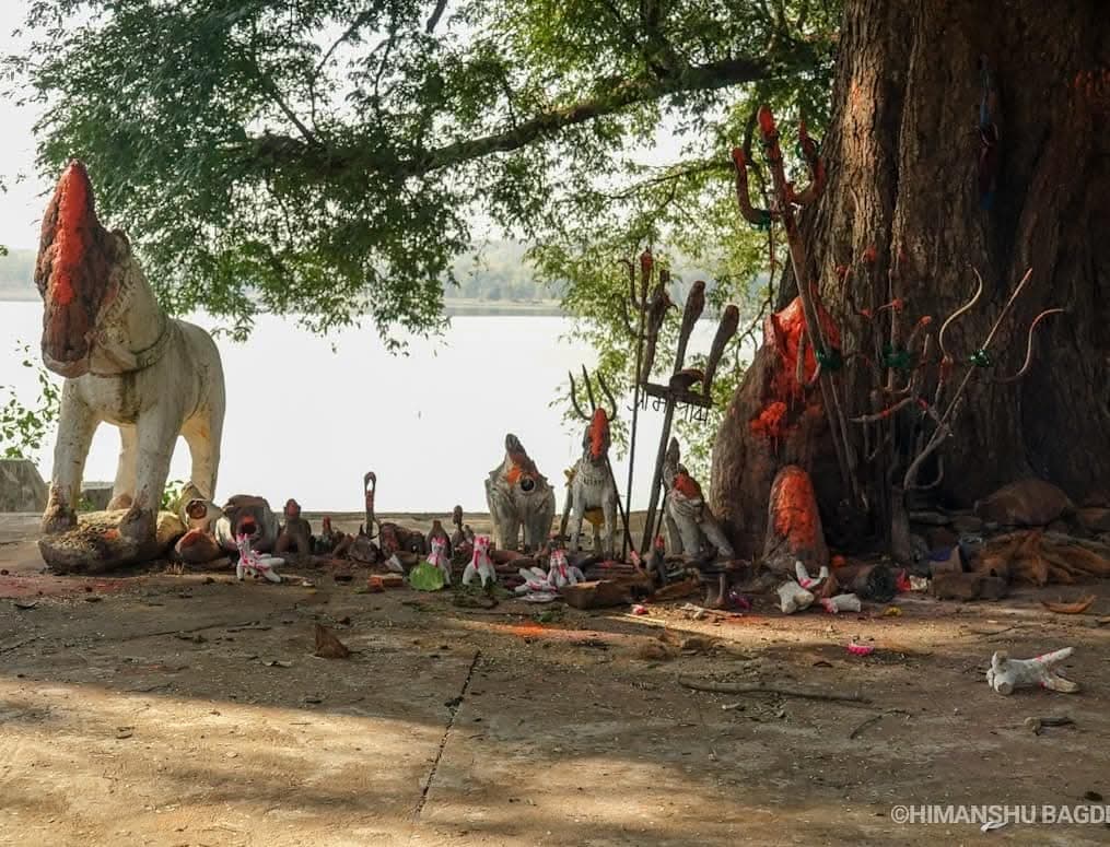 Tadoba