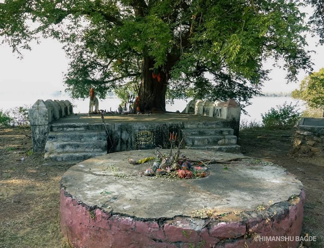 Tadoba