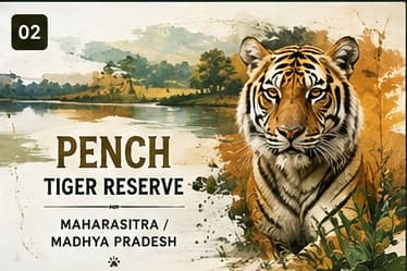 Pench Tiger Reserve - Maharashtra