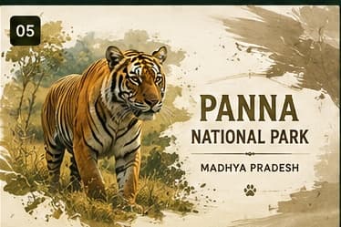 Panna Tiger Reserve - Madhya Pradesh
