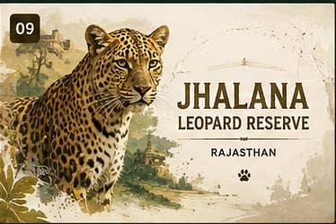 Jhalana Leopard Reserve - Rajasthan