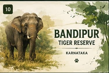 Bandipur National Park - Karnataka