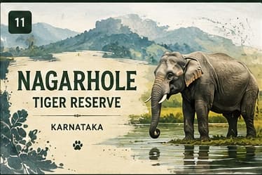 Nagarhole National Park - Karnataka