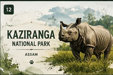Kaziranga National Park - Assam