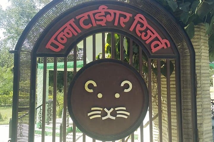 पन्ना राष्ट्रीय उद्यान
